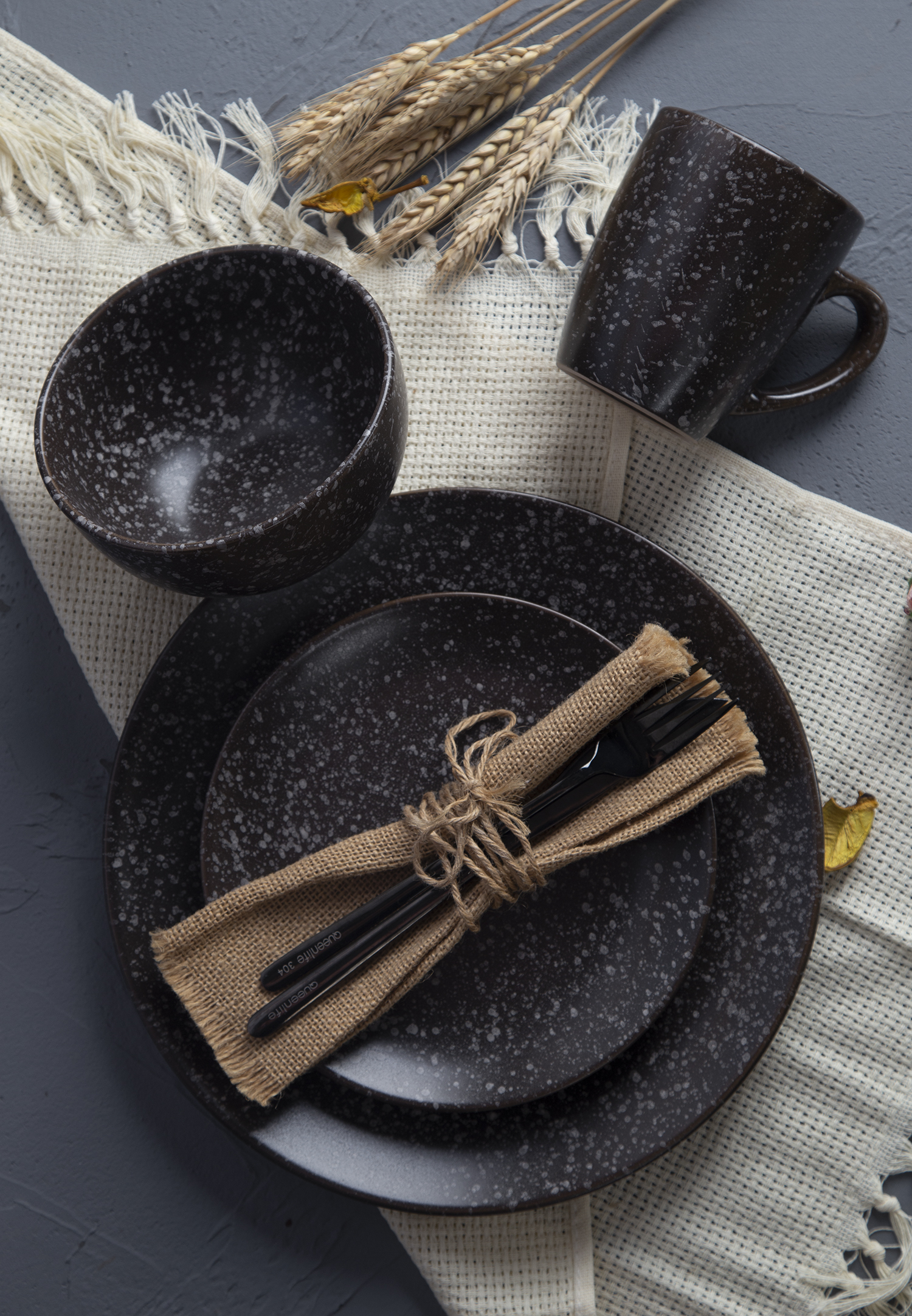 CHANGSHA HAPPY GO Speckled Glaze Ceramic Tableware Set |Dopamine Series Ceramics|happygodinnerware.com