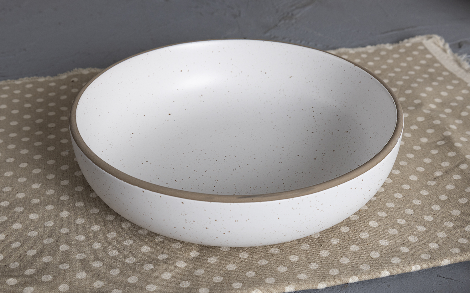 CHANGSHA HAPPY GO  Minimalist Speckled Stoneware Dinnerware Set with Matte Reactive Glaze and Soft White Finish |happygodinnerware.com