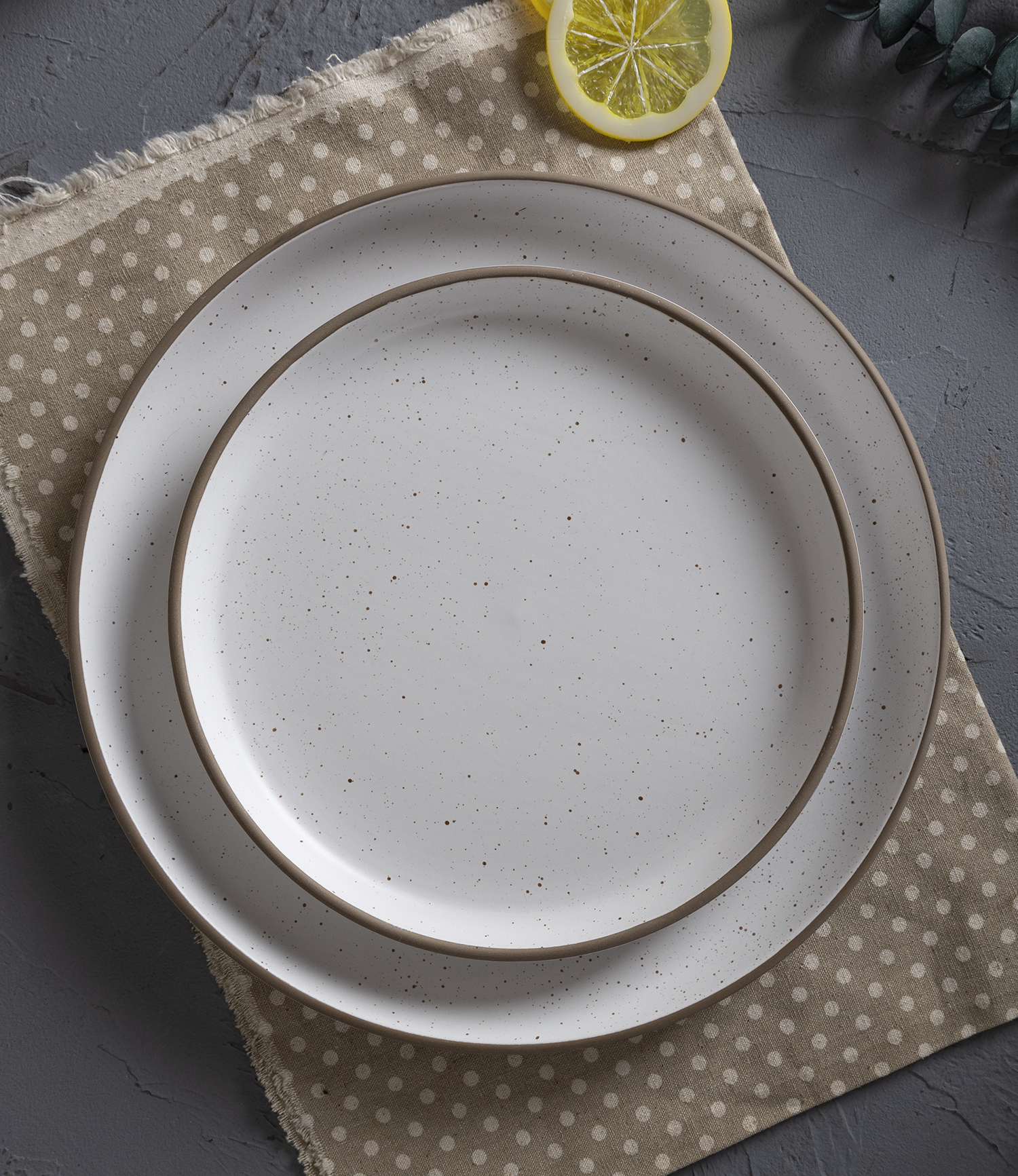 CHANGSHA HAPPY GO  Minimalist Speckled Stoneware Dinnerware Set with Matte Reactive Glaze and Soft White Finish |happygodinnerware.com