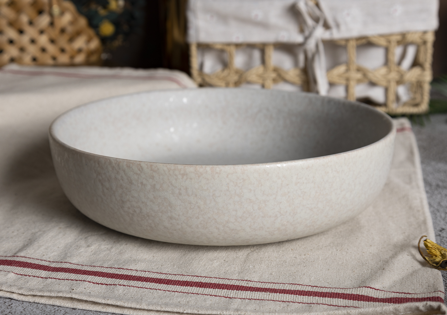 ​CHANGSHA HAPPY GO  Modern Ivory Reactive Glazed Stoneware Dinnerware Set with Speckled Texture Finish |happygodinnerware.com